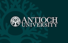 American University